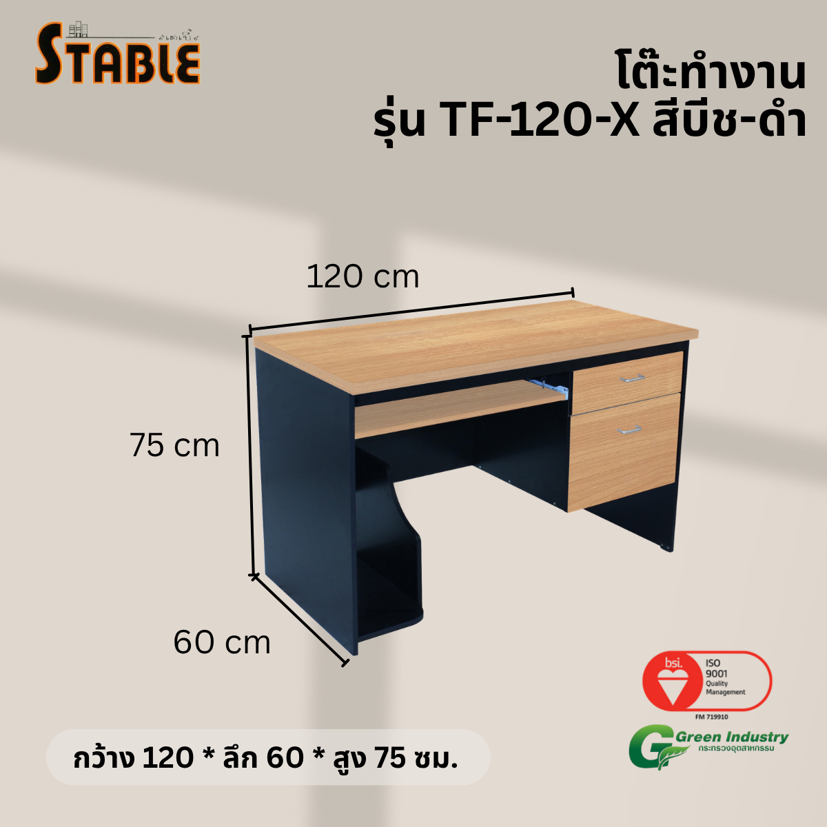 โต๊ะคอมพิวเตอร์ STABLE รุ่น TF-120-X 120 ซม. สีบีช-ดำ
